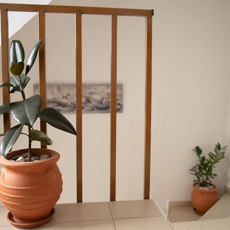 Nikorina Apts Lefkáda 外观 照片
