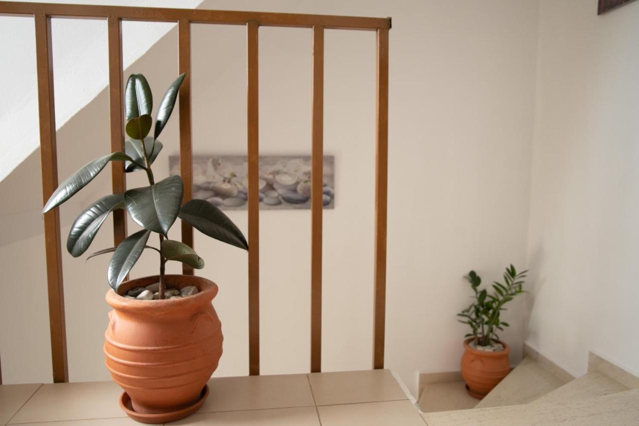 Nikorina Apts Lefkáda 外观 照片
